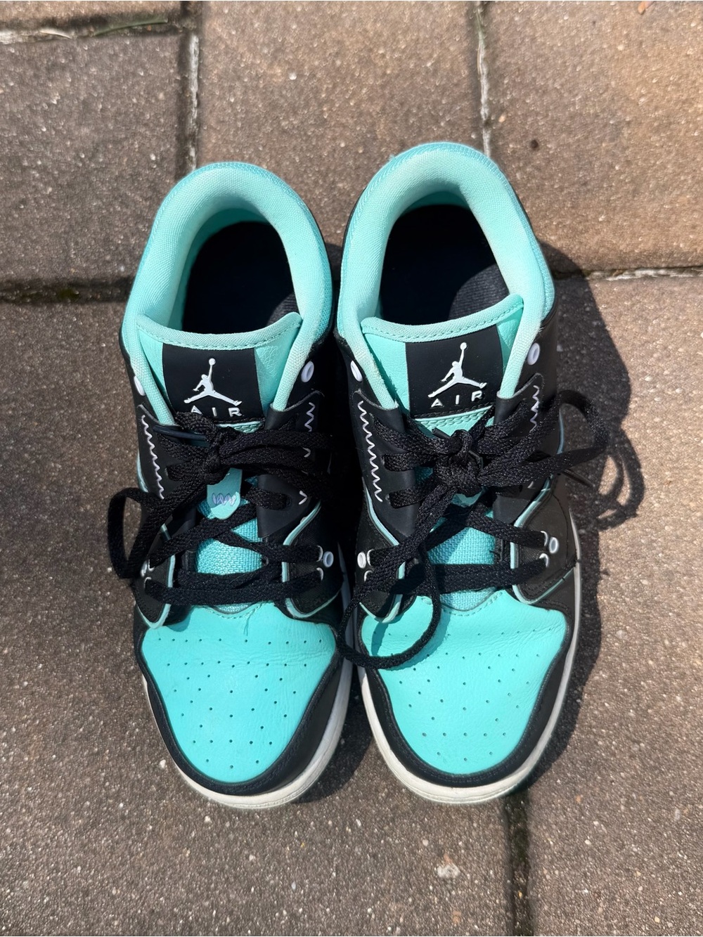 Nike Air Jordan Low in Teal and Black